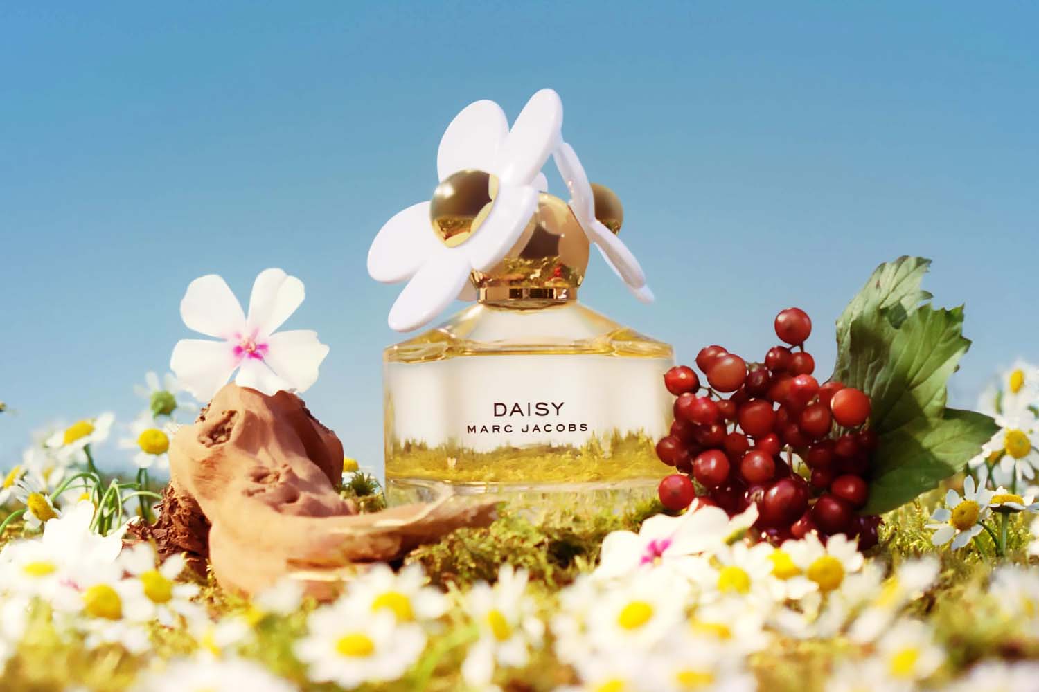 Marc jacobs daisy discount bottle