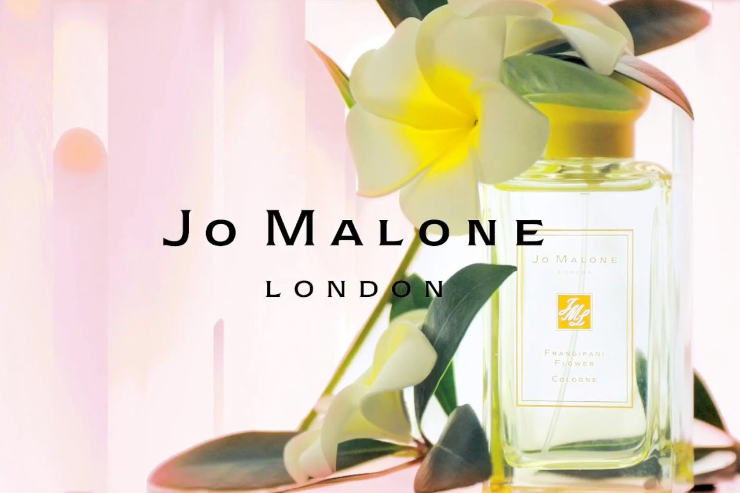 The Charm of Jo Malone Perfumes: An Olfactory Journey – Fragrance5ml