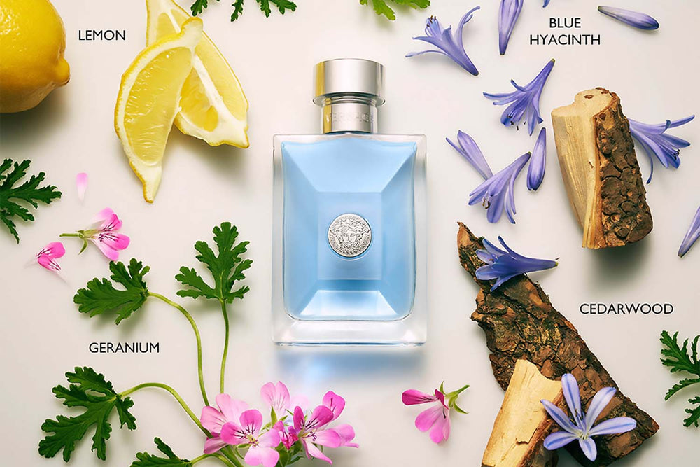 Versace Pour Homme Review: Embody Confidence and Masculinity – Fragrance5ml